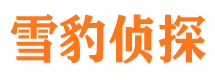 恒山市婚外情调查